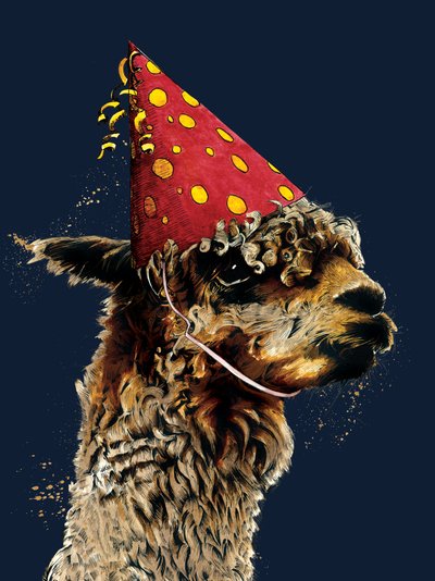 Alpaca di Compleanno su Blu Notte, 2020 da Mike Davis