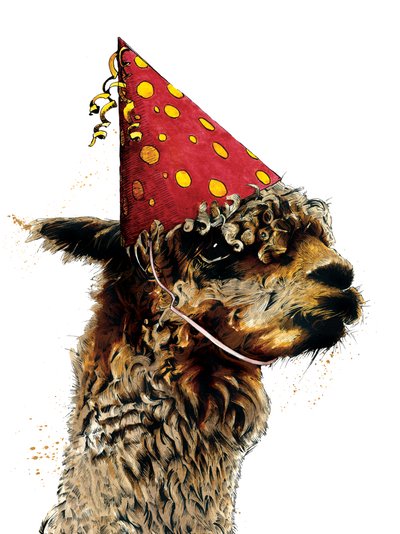 Alpaca di compleanno su bianco, 2020 da Mike Davis