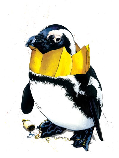 Pinguino di Natale su Bianco, 2020 da Mike Davis