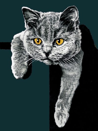Flora il gattino su ciano profondo, 2020 da Mike Davis