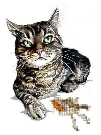 Gatto Regalo su Bianco, 2020 da Mike Davis
