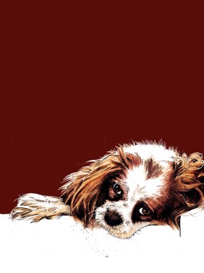 Meg il cocker spaniel su ossido rosso, 2020 da Mike Davis