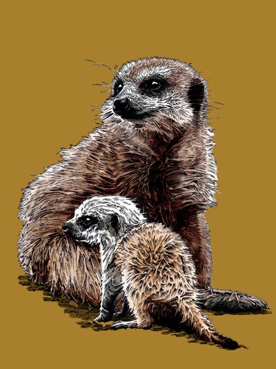 Nuovo bambino suricati sul giallo dorato, 2020 da Mike Davis