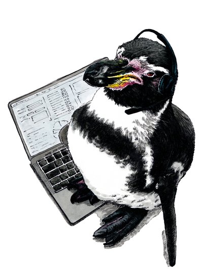 Pinguino nuovo lavoro su bianco, 2020 da Mike Davis
