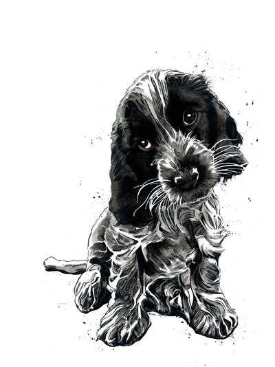 Rosie il cocker spaniel su bianco, 2019 da Mike Davis