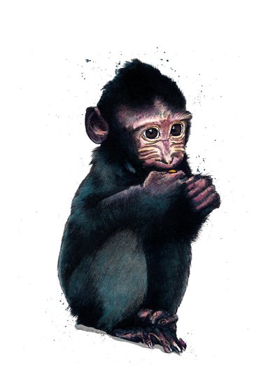 Il Macaco Cucciolo su Bianco, 2020 da Mike Davis