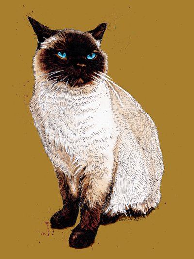 Il gatto siamese su giallo dorato, 2020 da Mike Davis