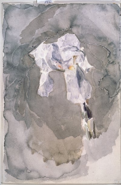 Iris bianco da Mikhail Aleksandrovich Vrubel
