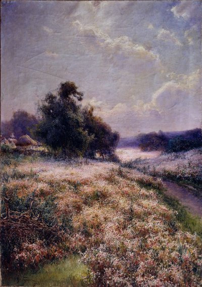 Prato in fiore, 1906 da Mikhail Andreyevich Berkos