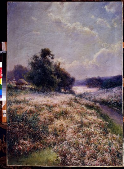 Prato fiorito da Mikhail Andreyevich Berkos