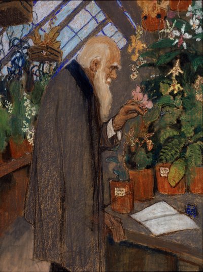 Ritratto dello scienziato Charles Robert Darwin che esamina piante nella serra Langdon-Down da Mikhail Dmitrievich Ezuchevsky