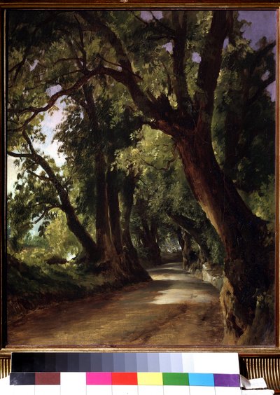 Vista ad Albano vicino a Roma da Mikhail Ivanovich Lebedev