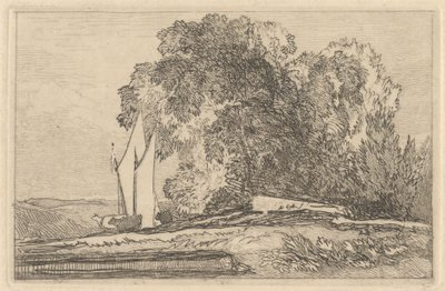 Studio di alberi sulle rive del fiume Yare da Miles Edmund Cotman