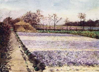 Un campo di crochi da Mima Nixon