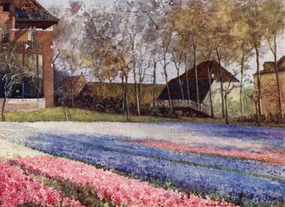 Un giardino olandese in primavera da Mima Nixon