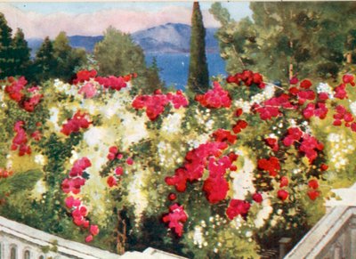 La Pergola delle Rose, l