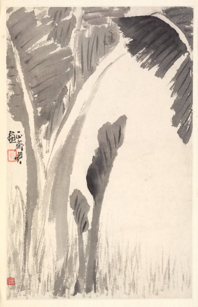 Piante di banana da Min Zhen
