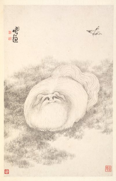 Gatto e farfalla da Min Zhen