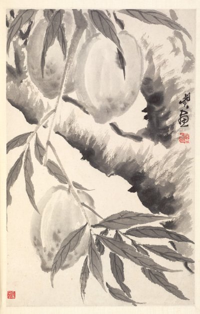 Pesche, 1788 da Min Zhen