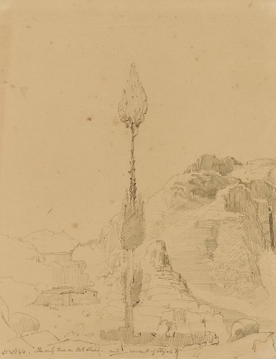 Quercia sul Monte Sinai da Miner Kilbourne Kellogg