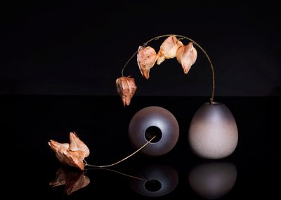  da Ming Chen