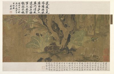 Bambù, rana e insetti da Ming Dynasty Chinese School
