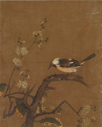 Dieci immagini di uccelli e fiori da Ming Dynasty Chinese School