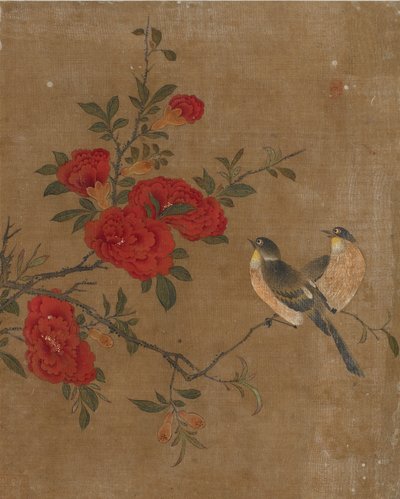 Dieci immagini di uccelli e fiori da Ming Dynasty Chinese School