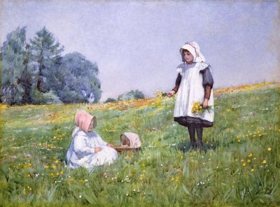 Ranuncoli e margherite da Minnie Jane Hardman