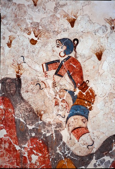 Civiltà minoica: donne che raccolgono zafferano. Dettaglio di un affresco dal bacino lustrale di Xeste 3 ad Akrotiri (Thera), Santorini. Dim. 244x266 cm XVI secolo a.C. Santorini, Collezione di affreschi di Akrotiri a Thera da Minoan