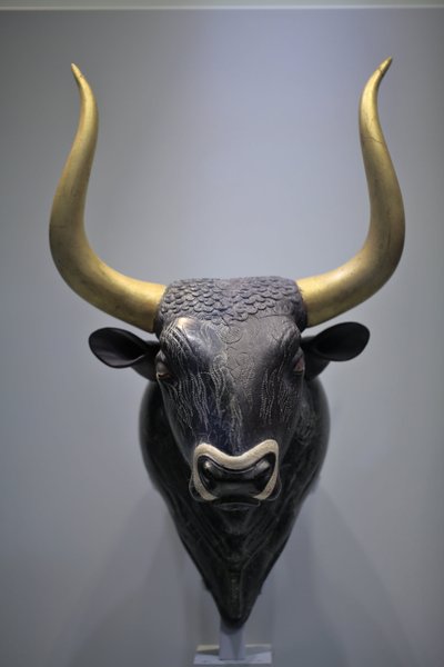 Arte minoica. Rhyton a testa di toro. Questo rhyton è stato trovato nel piccolo palazzo di Cnosso. È un esempio caratteristico della scultura in pietra minoica del primo periodo neopalaziale. È un vaso per libagioni, che veniva riempito con il liquido appr da Minoan