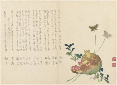 Melograno da Miyake Eisai