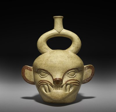 Vaso a forma di testa felina, 100-800 d.C. da Moche Moche