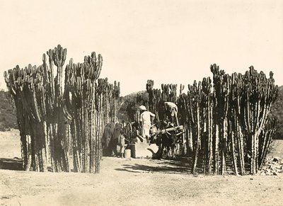 Pozzo a Nacfa, 09/05/1936 da Modestino Baldinetti