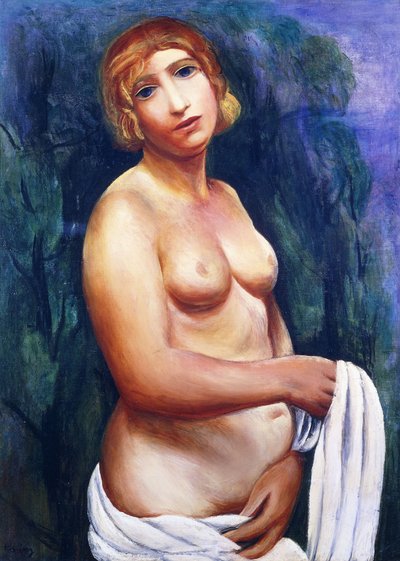 Nudo con drappo bianco; Nu au drap blanc, XX secolo (olio su tela, cornice) da Moise Kisling