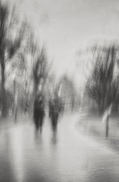 Una passeggiata onirica nel parco da Molly Fu APA
