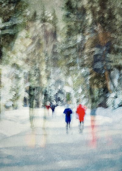 Passeggiata nella foresta invernale da Molly Fu APA