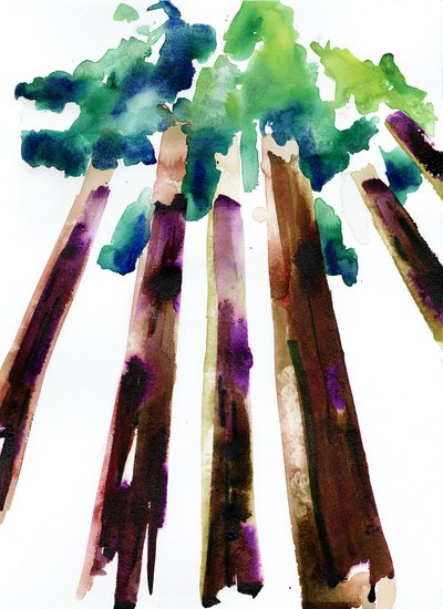 Sequoia da Monica Perez Vega