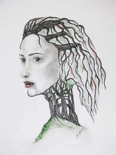 Morte degli alberi da Monika Wittrich