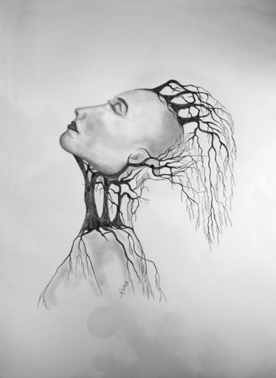 Morte degli alberi 2 da Monika Wittrich