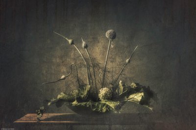 Natura morta botanica in tonalità scure da Monique van Velzen