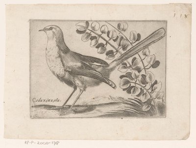 Uccello da Monogrammist AG
