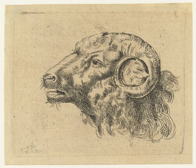 Testa di un ariete da Monogrammist IFG (graveur)