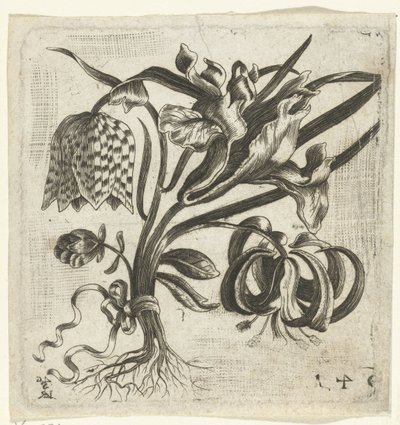 Piccolo bouquet di fiori da Monogrammist LRSG