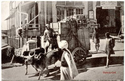 Carro trainato da buoi, c.1900-20 da Moorli Dhur and Sons