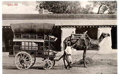 Camel Dak, c.1911-12 (foto seppia) da Moorli Dhur and Sons
