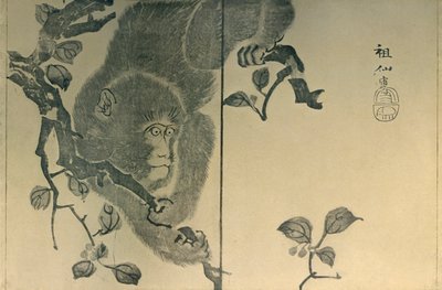 Scimmia, 1815 da Mori Sosen