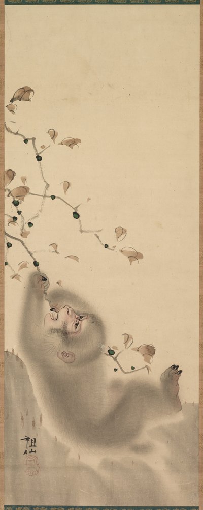 Scimmia appesa a un ramo, 1780 da Mori Sosen