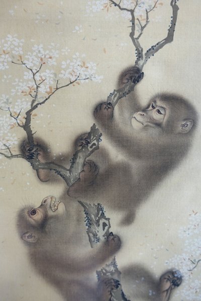 Scimmie in un ciliegio in fiore, 1 di 2, Mori Sosen, Giappone, periodo Edo, inizio 1800, inchiostro e colore su seta - Museo Arthur M. Sackler, Università di Harvard - DSC01127 da Mori Sosen