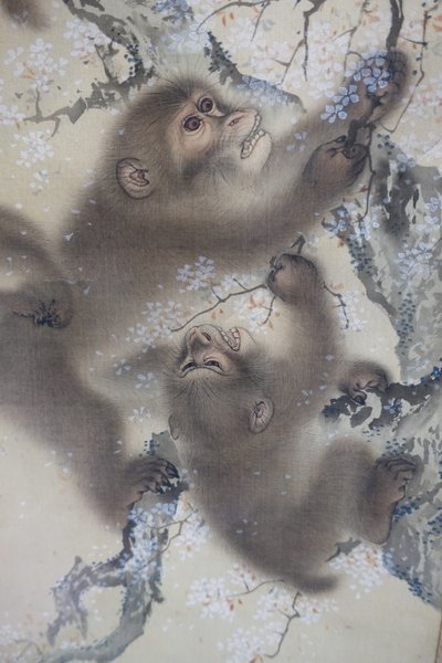 Scimmie in un ciliegio in fiore, 2 di 2, Mori Sosen, Giappone, periodo Edo, inizio 1800, inchiostro e colore su seta - Museo Arthur M. Sackler, Università di Harvard - DSC01128 da Mori Sosen